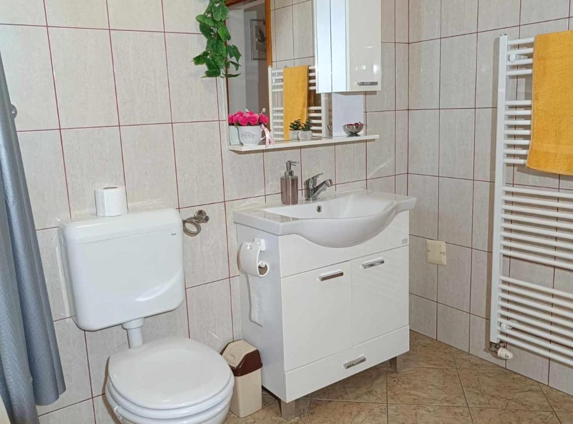 Apartmani Tea I Toni Gradiste Екстериор снимка